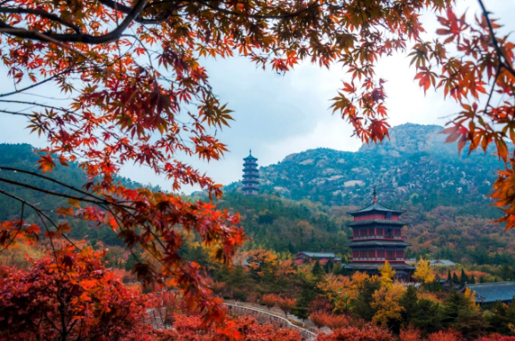 微信图片_20231012083041.png 微信图片_20231012083041.png