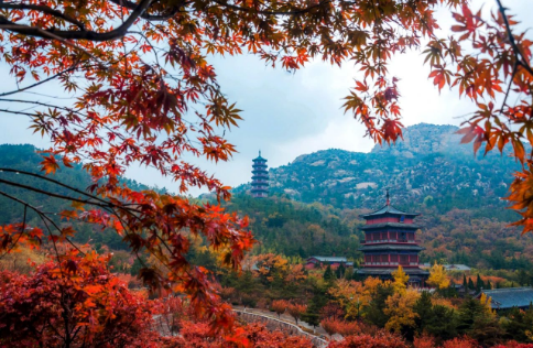 微信图片_20231016155847.png 微信图片_20231016155847.png