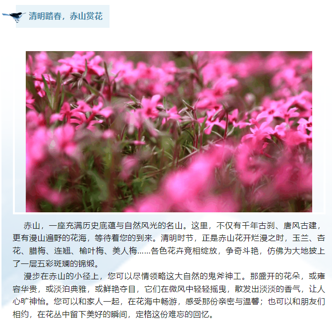 微信图片_20240405140419.png