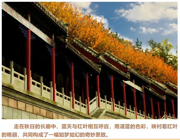 微信图片_20241030155304.png