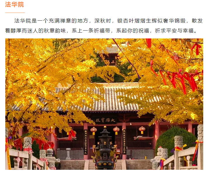 微信图片_20241101153431.png