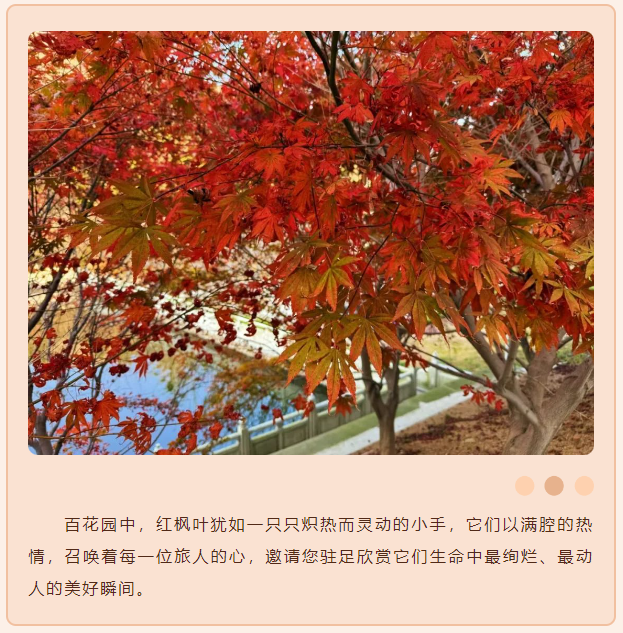微信图片_20241112081834.png