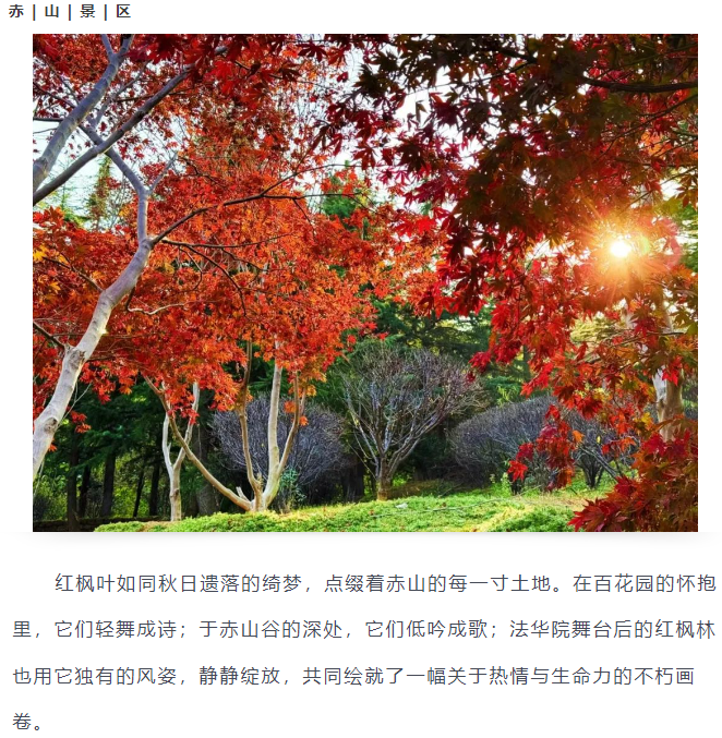 微信图片_20241113153353.png
