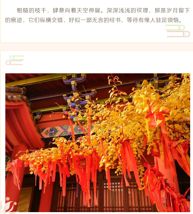 微信图片_20241119184652.png
