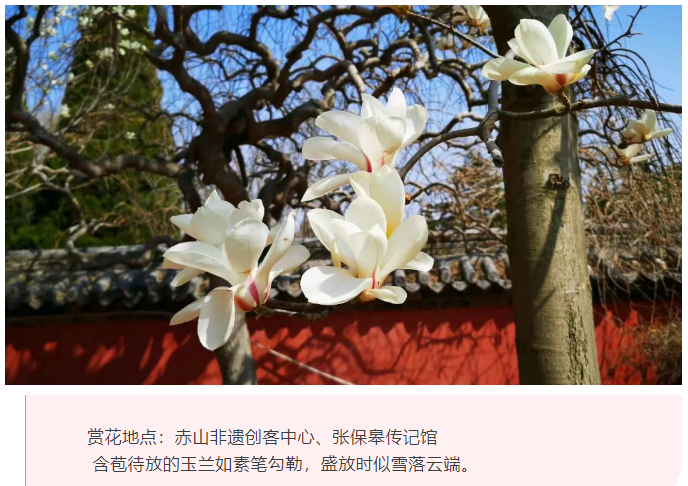 微信图片_20250326082119.png