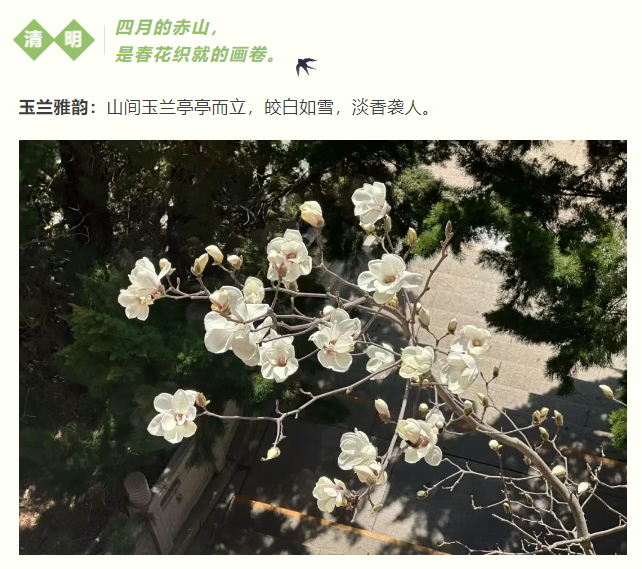 微信图片_20250326082848.png