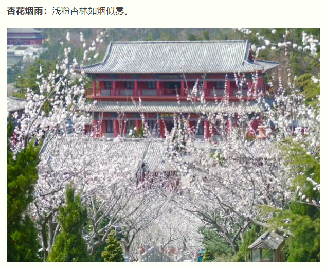 微信图片_20250326082914.png