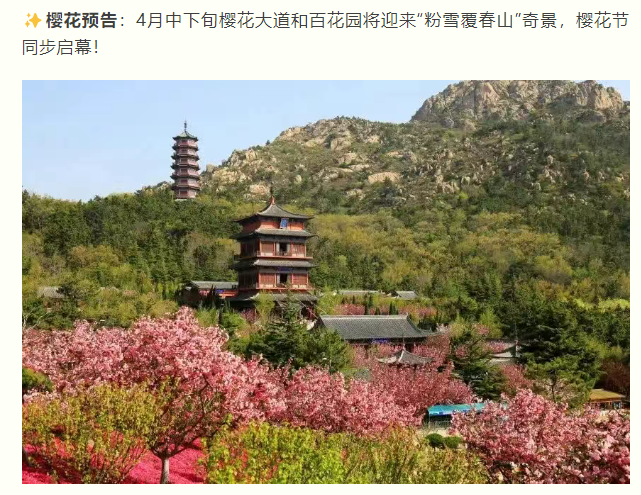 微信图片_20250326082941.png