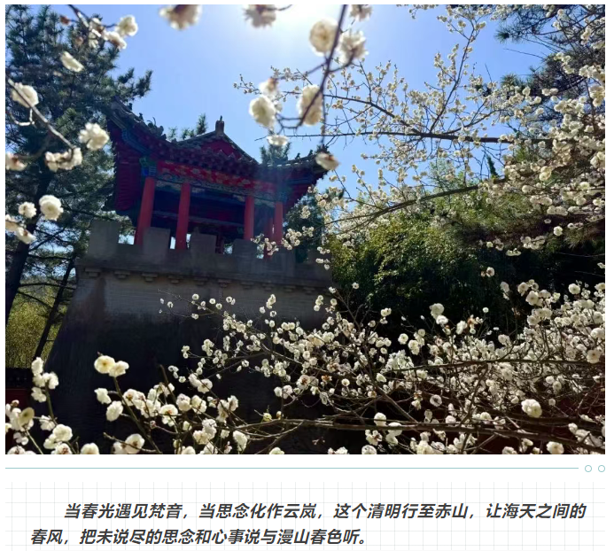 微信图片_20250326151215.png